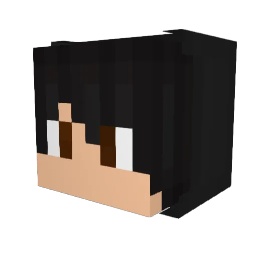 Ufer444 Minecraft avatar head, 3D render