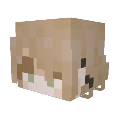 Uggu97 Minecraft avatar head, 3D render