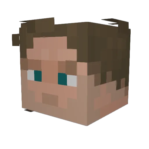 UglyAussieShibe Minecraft avatar head, 3D render