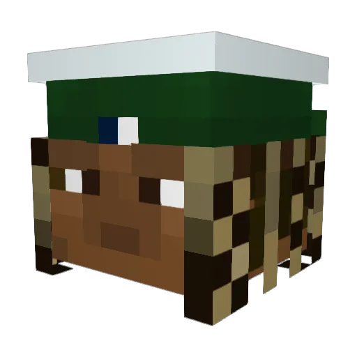 Uhavedied4750 Minecraft avatar head, 3D render