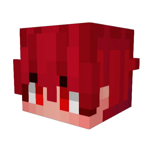 UhcNinja Minecraft avatar head, 3D render