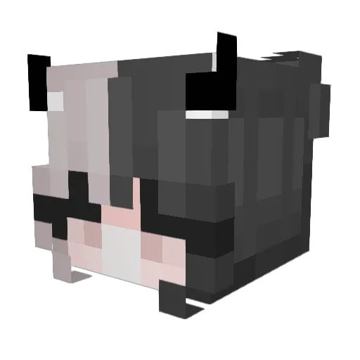 Uina7238 Minecraft avatar head, 3D render