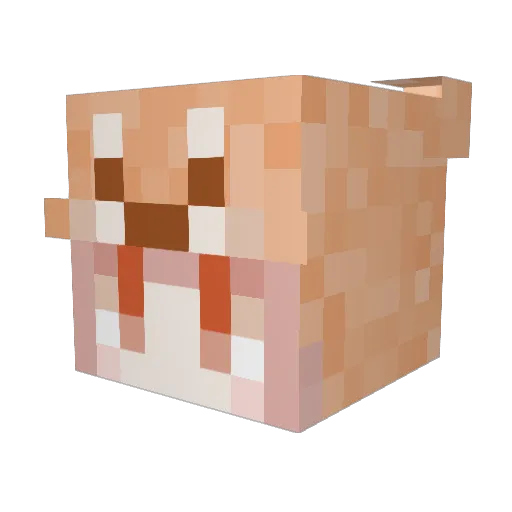 Uiri_r Minecraft avatar head, 3D render