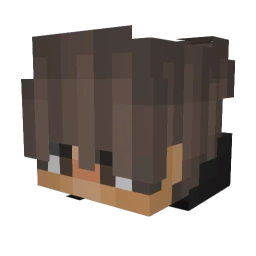 Uju8011 Minecraft avatar head, 3D render