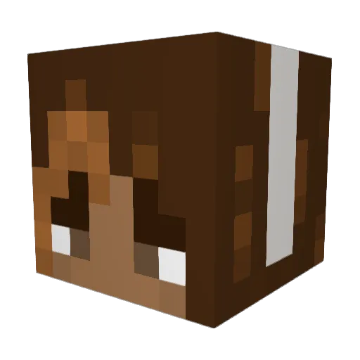 Ukukoko Minecraft avatar head, 3D render