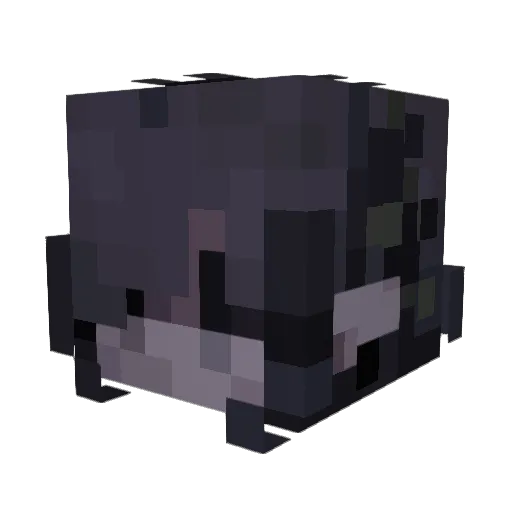 Ukyq Minecraft avatar head, 3D render