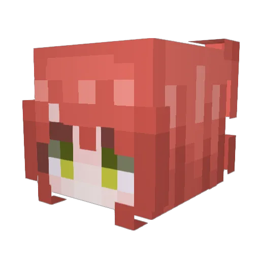 UlaHula Minecraft avatar head, 3D render