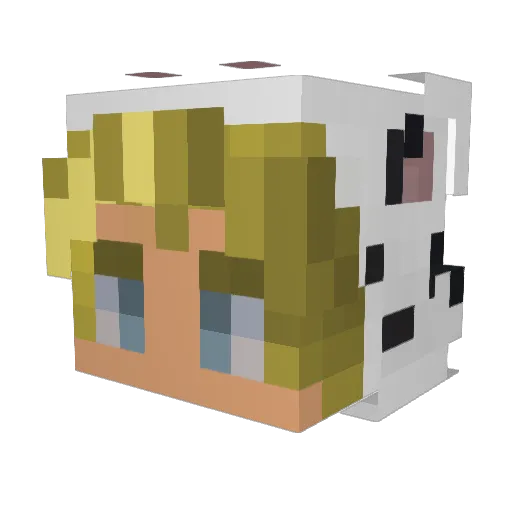 UlfurVargrson Minecraft avatar head, 3D render