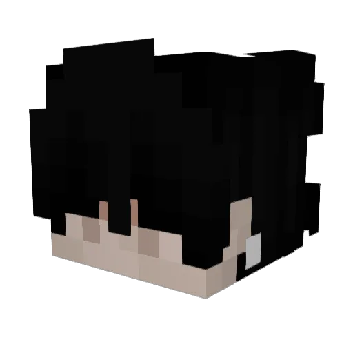 Uli2405 Minecraft avatar head, 3D render