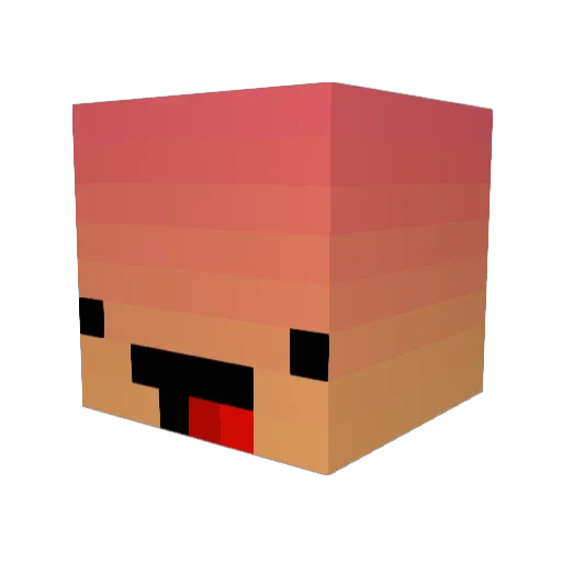 Ulkkinash Minecraft avatar head, 3D render