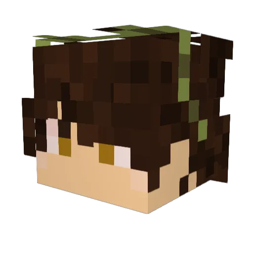 Ulquirro16 Minecraft avatar head, 3D render