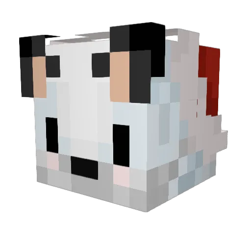 Ultimate_Mage06 Minecraft avatar head, 3D render