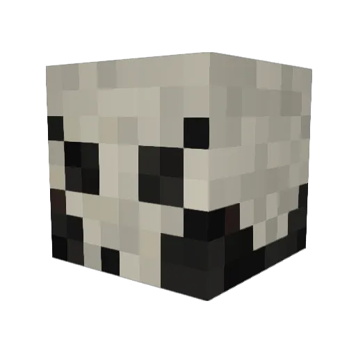 UltimoEsqueleto Minecraft avatar head, 3D render