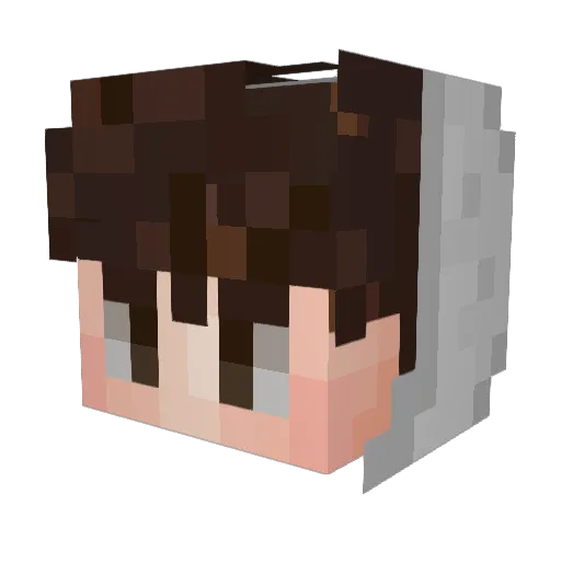 UltraSkater Minecraft avatar head, 3D render