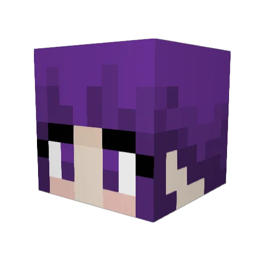 UltraSon1c Minecraft avatar head, 3D render
