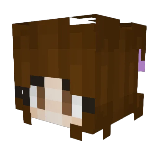 UltraViolet42 Minecraft avatar head, 3D render