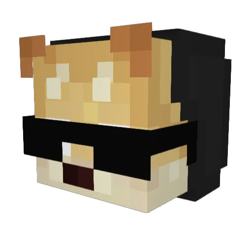 Ultradoggy23 Minecraft avatar head, 3D render
