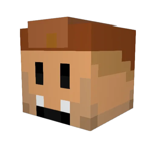 Ultrag24 Minecraft avatar head, 3D render