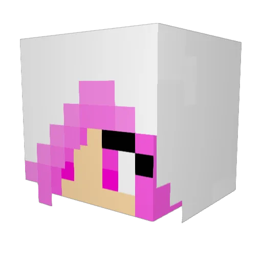 Ultranationalist Minecraft avatar head, 3D render