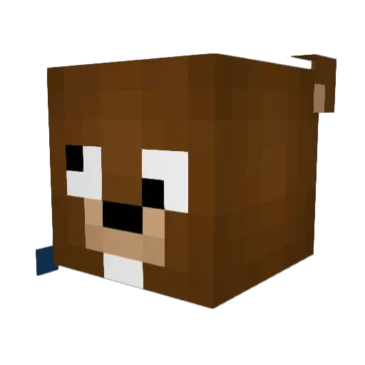 UltrasonicWill Minecraft avatar head, 3D render
