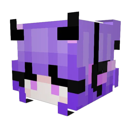 UltraxionLord Minecraft avatar head, 3D render