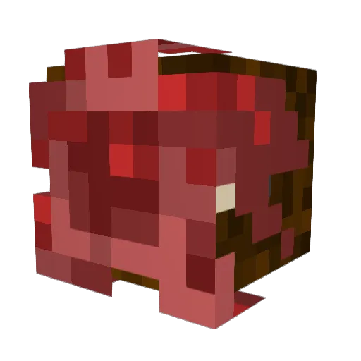 Ulworthh Minecraft avatar head, 3D render