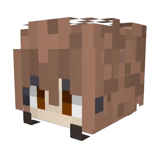 Um_Im_Not_Lily Minecraft avatar head, 3D render