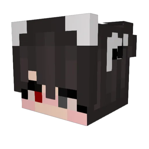 Umbra11 Minecraft avatar head, 3D render