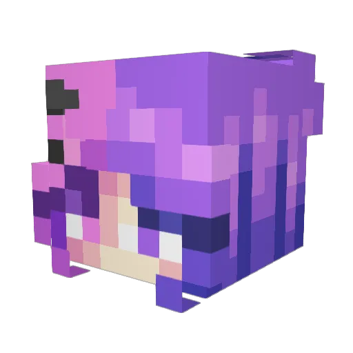 Umbra3415 Minecraft avatar head, 3D render