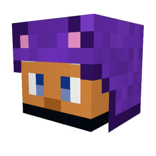 UmbraTeddy Minecraft avatar head, 3D render