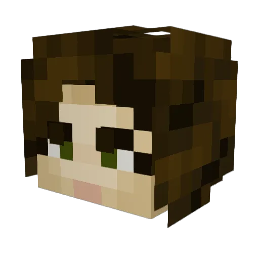 UmbrellaBear Minecraft avatar head, 3D render