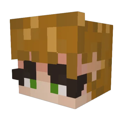 UmbreonLovesPi Minecraft avatar head, 3D render
