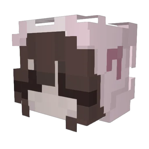 UmiUmium Minecraft avatar head, 3D render