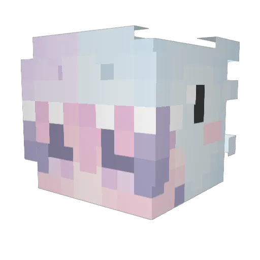 UmmActuallyJP Minecraft avatar head, 3D render