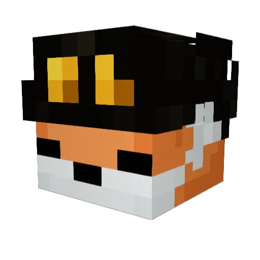 UnKiwis Minecraft avatar head, 3D render