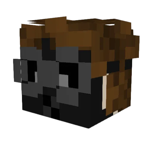 UnKnownDemo Minecraft avatar head, 3D render