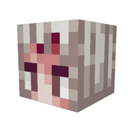 UnKnownFamiliar Minecraft avatar head, 3D render