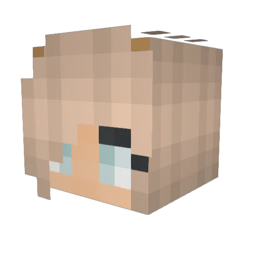 UnKownSpaceBaby Minecraft avatar head, 3D render