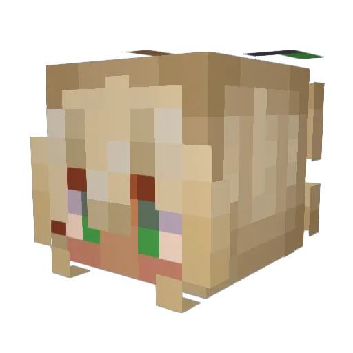 UnLuckyLeech Minecraft avatar head, 3D render