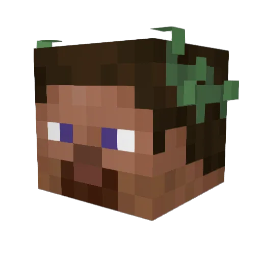 UnMecSansBlaze Minecraft avatar head, 3D render