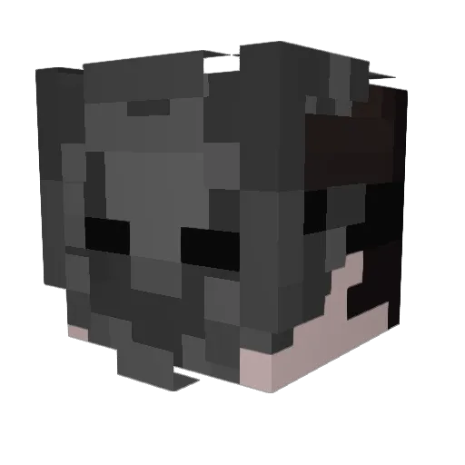 UnNamed4253 Minecraft avatar head, 3D render