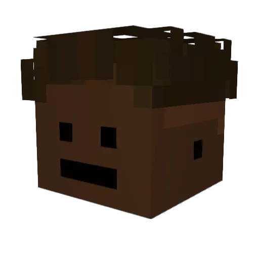 UnNomAuPif Minecraft avatar head, 3D render
