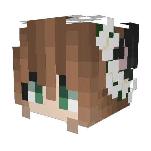 UnSkilledBear Minecraft avatar head, 3D render