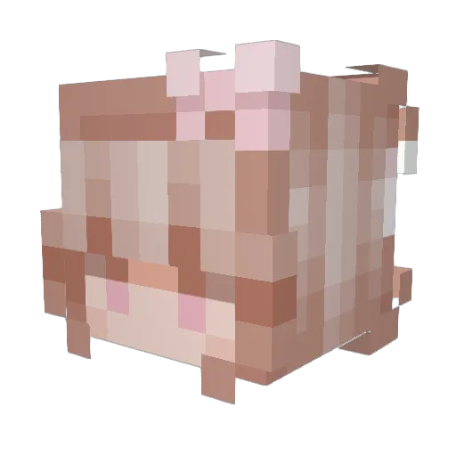 Un_geplant Minecraft avatar head, 3D render