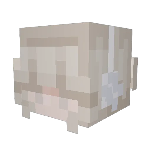 Un_known_Person Minecraft avatar head, 3D render