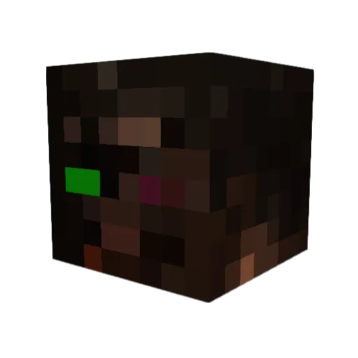 UnableToFindUser Minecraft avatar head, 3D render