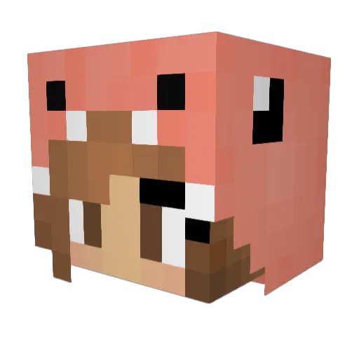 Unakzeptabel Minecraft avatar head, 3D render