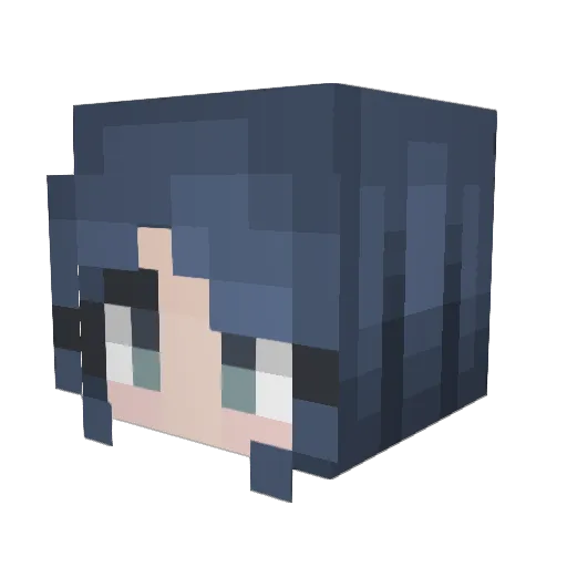 UnbakedMouse289 Minecraft avatar head, 3D render