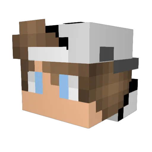 UnbakedSt3f4n Minecraft avatar head, 3D render