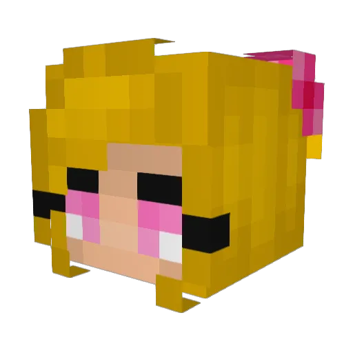 UnbalancedBee Minecraft avatar head, 3D render